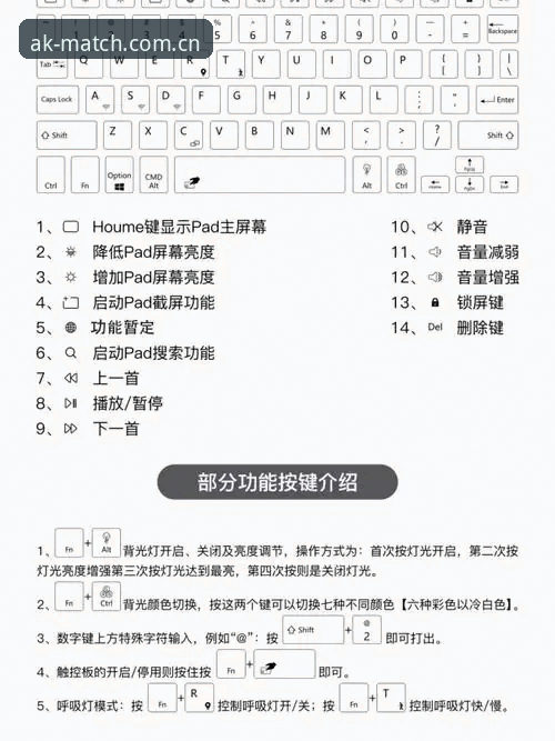 最新AK体育官方直营平台使用指南：从入门到精通的全方位解析